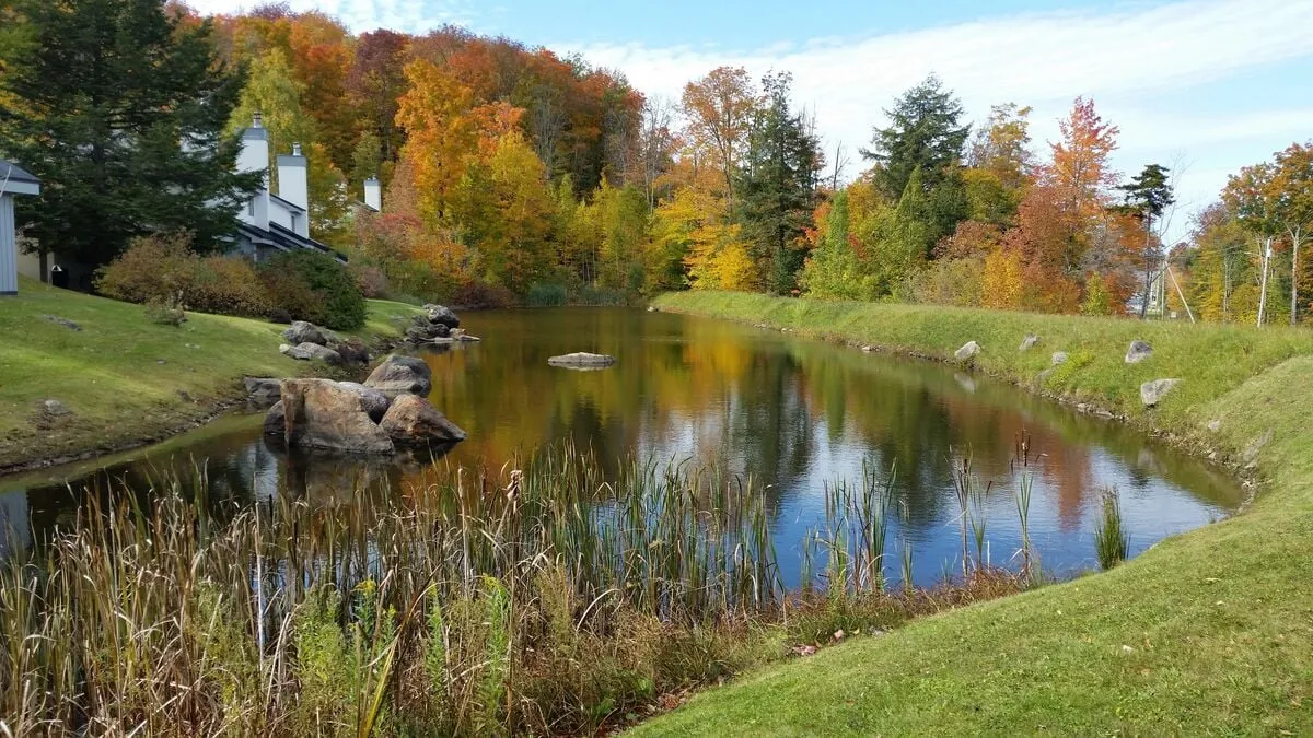 An exterior scene with a calm pond, colorful trees, rocks, and lush grass, evoking a peaceful environment perfect for picnicking, nature walks, or bird watching. The vibrant foliage and water invite exploration and reflection in nature.