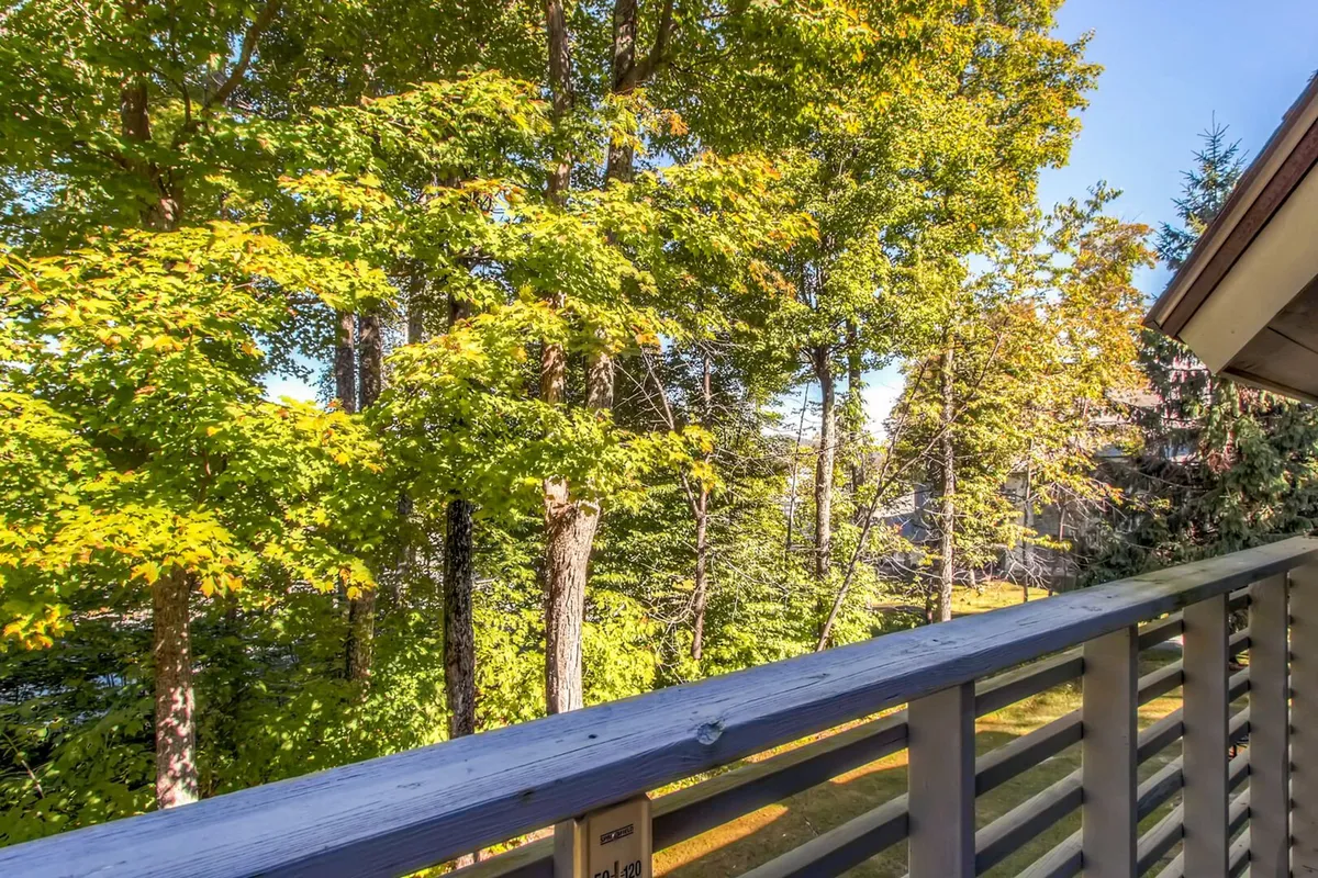 A peaceful view from a balcony framed by lush green trees and dappled sunlight. The wooden railing suggests a private space for guests to relax, watch wildlife, or read while staying connected with nature.